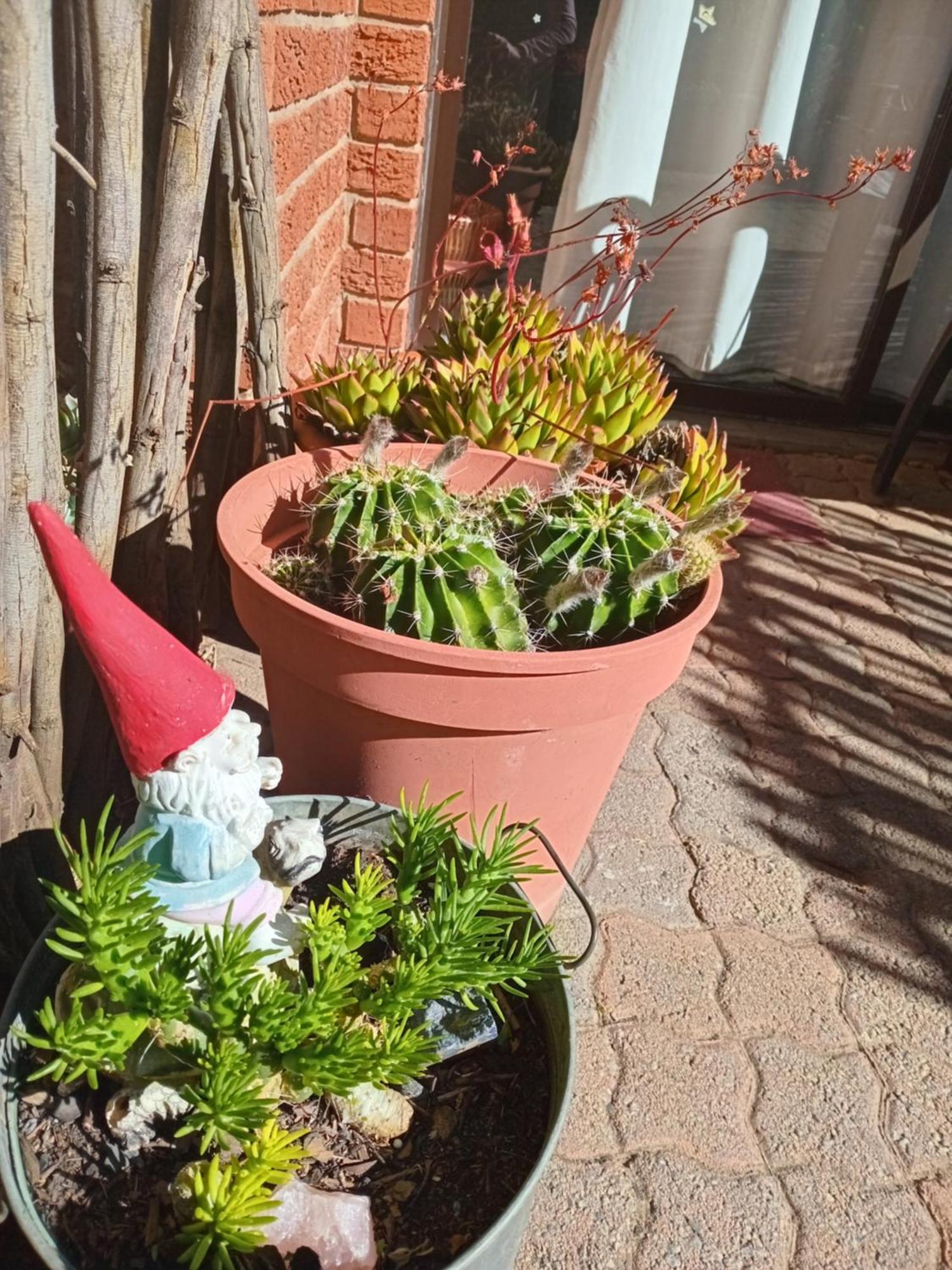 Amani Guest House Clarens Buitenkant foto
