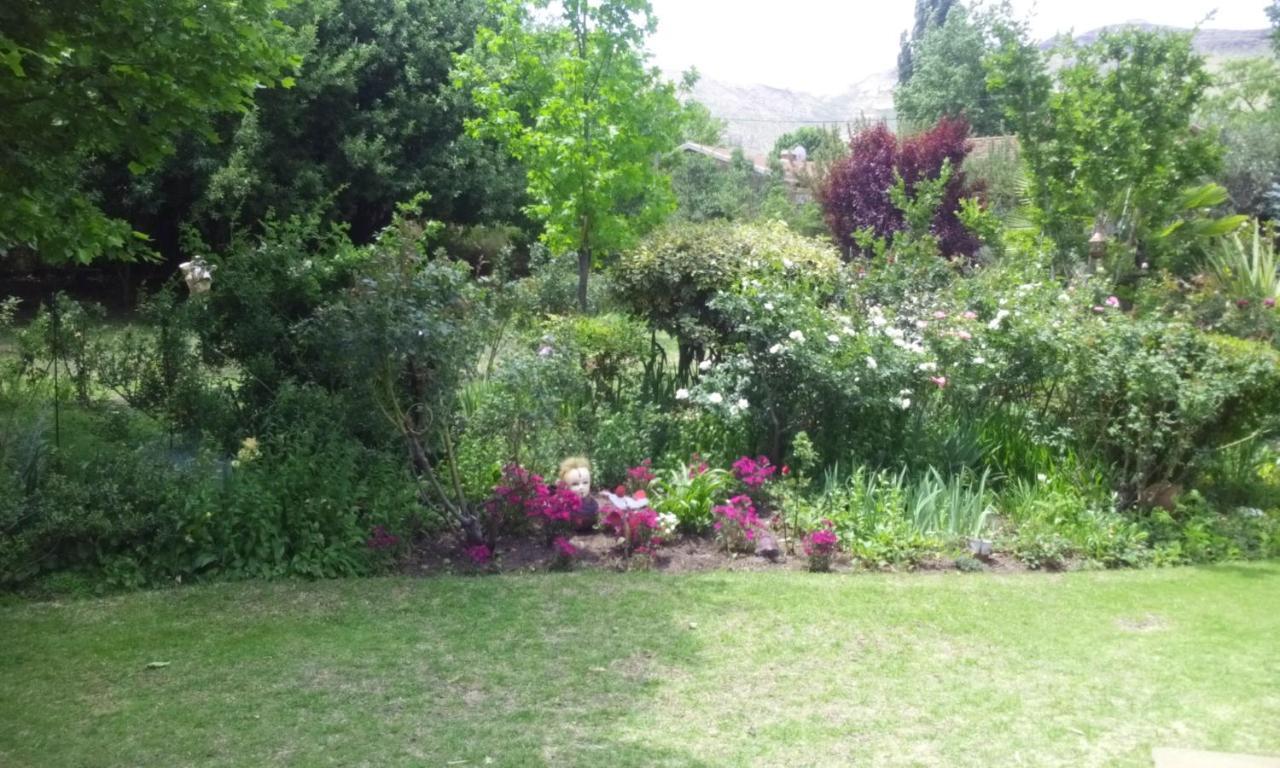 Amani Guest House Clarens Buitenkant foto